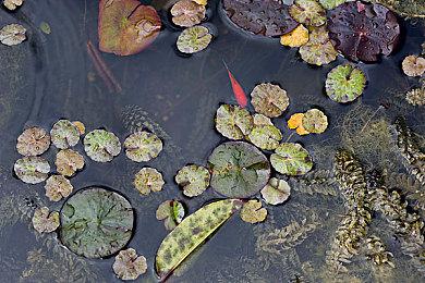 《死亡回归》衍生图画小说正式公布 10月正式发售